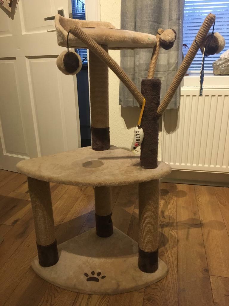 avery ascent cat scratch tower